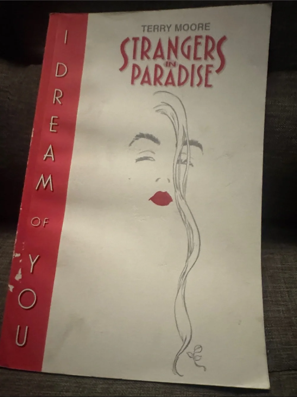 Terry Moore's Strangers in Paradise I Dream of You Graphic Novel Indie Comic Col